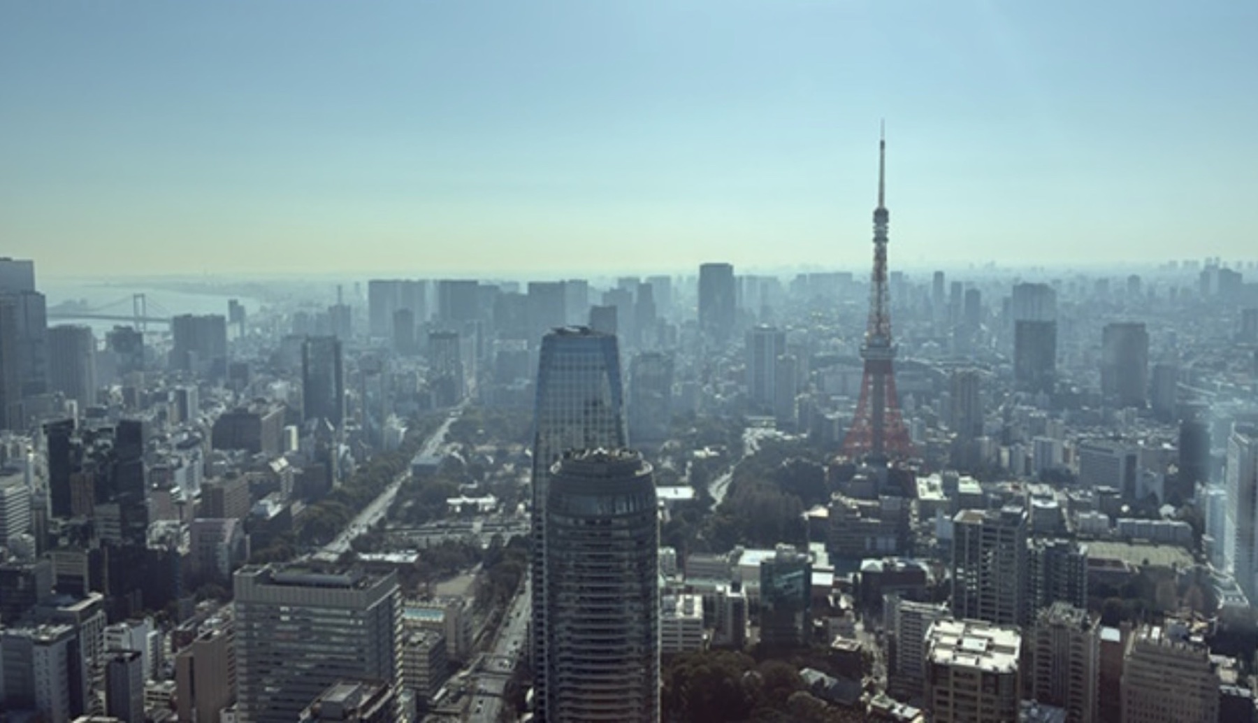 Tokyo skyline with Tokyo Tower